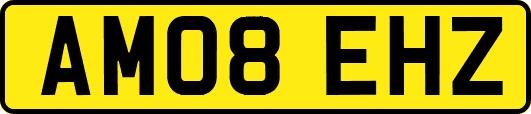 AM08EHZ