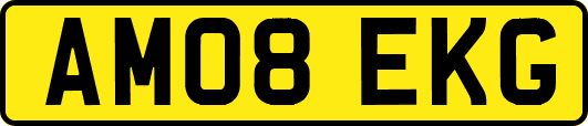 AM08EKG