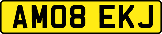 AM08EKJ