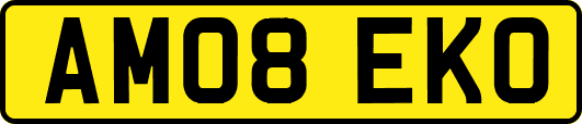AM08EKO