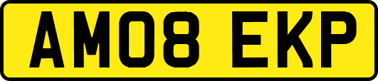 AM08EKP