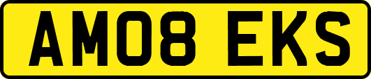 AM08EKS