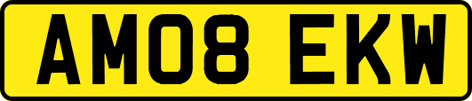 AM08EKW