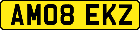 AM08EKZ