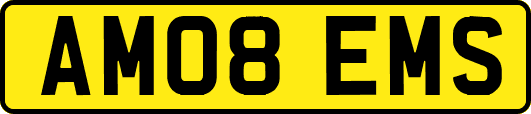 AM08EMS