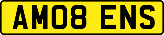 AM08ENS