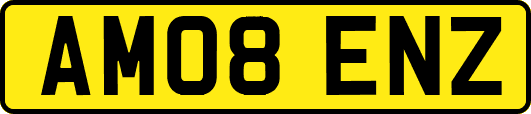 AM08ENZ