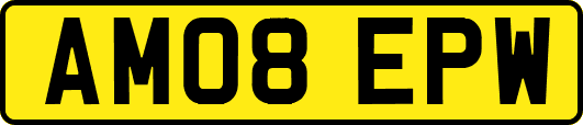 AM08EPW