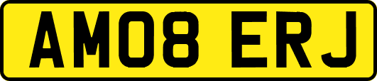 AM08ERJ