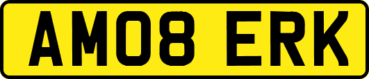 AM08ERK