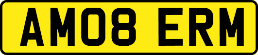 AM08ERM
