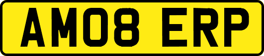 AM08ERP