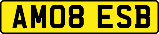 AM08ESB