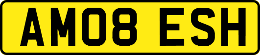 AM08ESH