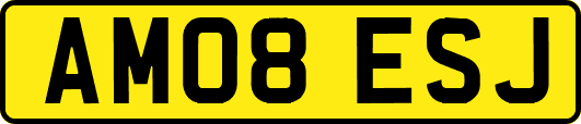 AM08ESJ