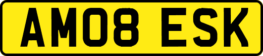 AM08ESK