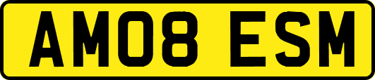 AM08ESM