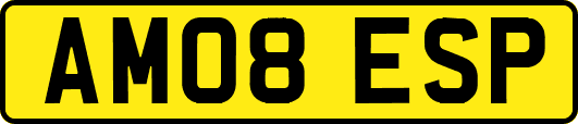 AM08ESP