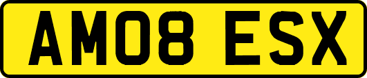 AM08ESX