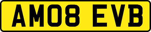AM08EVB