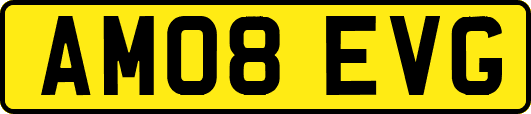AM08EVG