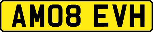 AM08EVH