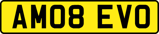 AM08EVO