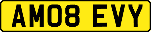 AM08EVY