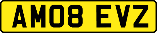 AM08EVZ