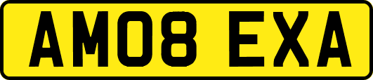 AM08EXA