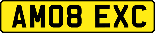 AM08EXC