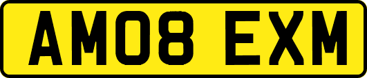 AM08EXM