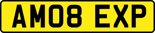 AM08EXP