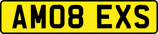 AM08EXS