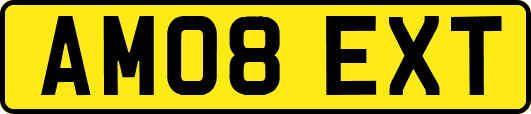 AM08EXT