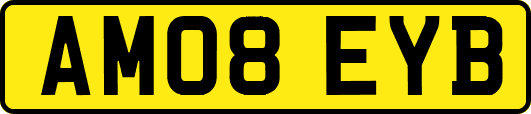 AM08EYB