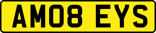 AM08EYS