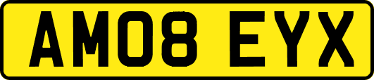 AM08EYX