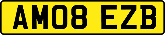 AM08EZB