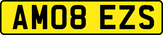 AM08EZS