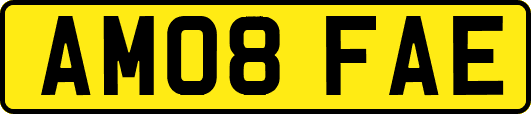 AM08FAE