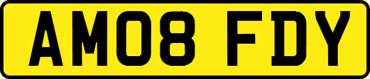 AM08FDY