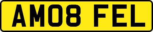 AM08FEL