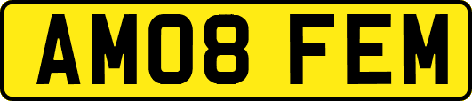 AM08FEM