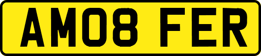 AM08FER