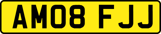 AM08FJJ