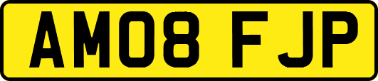 AM08FJP