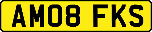 AM08FKS