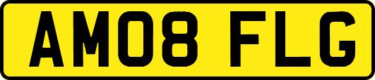 AM08FLG