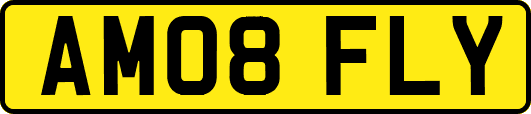 AM08FLY